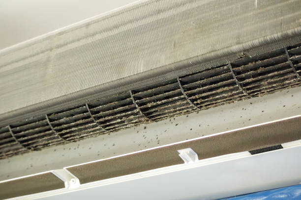 Best Affordable Duct Cleaning Services  in Georgetown, PA